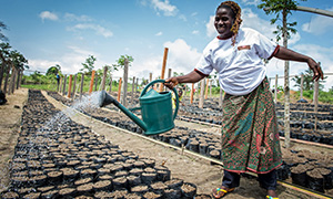 Creating Shared Value