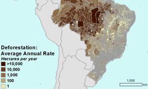 Niveau zéro de déforestation