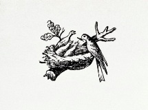 Premier logo Nestlé en 1868
