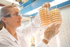 Nestlé Research