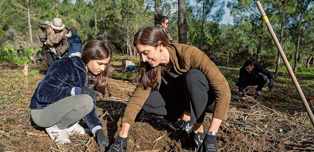 Two persons are planting trees in a forested area