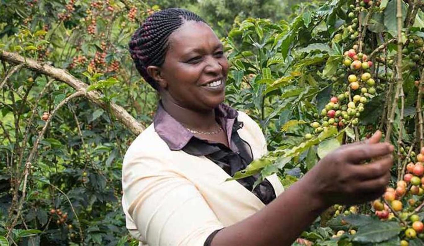 Nestlé s'engage à soutenir et à permettre aux femmes de se constituer des moyens de subsistance dans la production de café