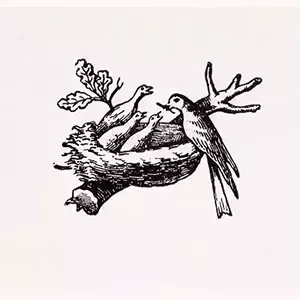 nest and four birds