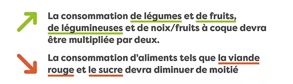 Consommation légumes vs viandes FR