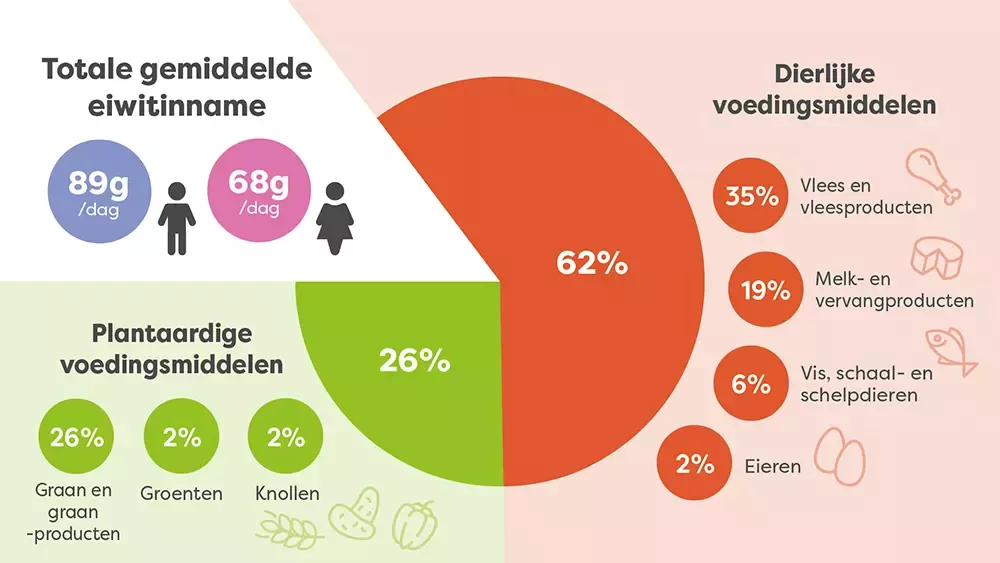 infographie