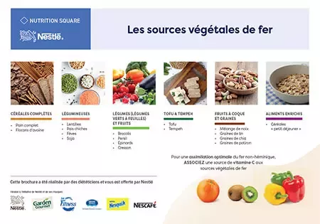 Source de fer