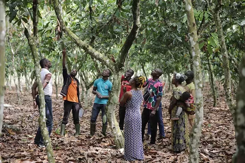 Préserver les forets