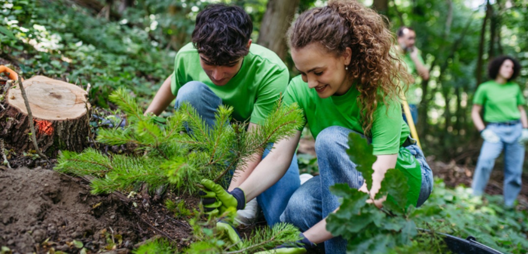 teenagers planting a tree